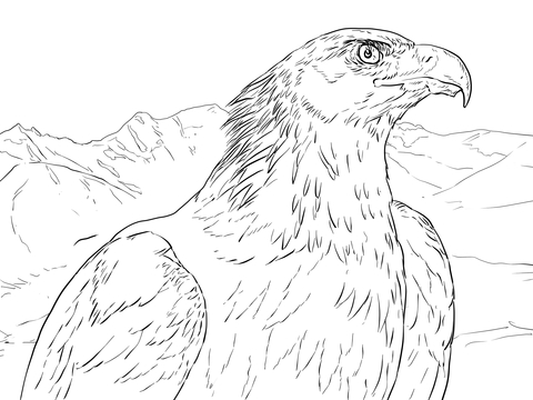 Golden Eagle Portrait Coloring Page